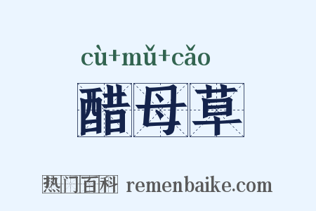 醋母草是什么意思的图片
